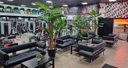 Sun Gym - Suceava