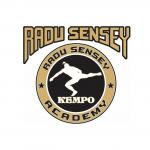Radu Sensey Academy