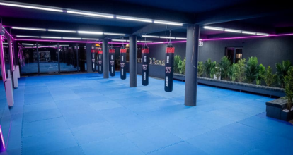 Radu Sensey Academy - București