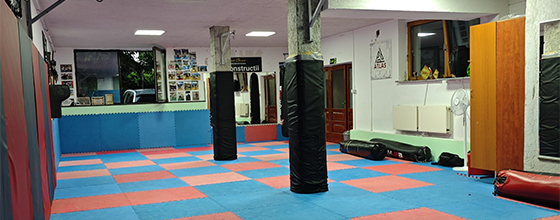 Atlas Fight Team