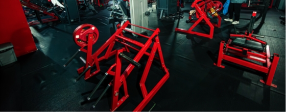 Imperial Gym