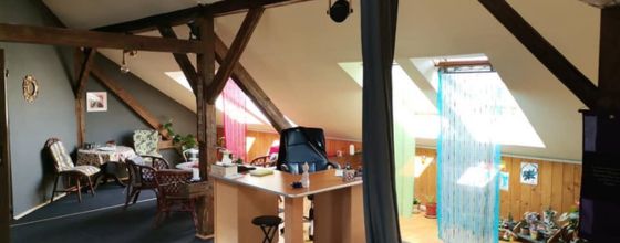 Blue Lotus Yoga Studio