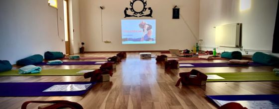 Omni Yoga Academy