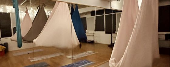 Dalia Rebeca Aerial Yoga