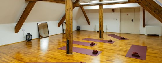 Yoga cu Brândușa