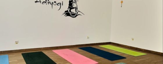 Alina Zest Yoga