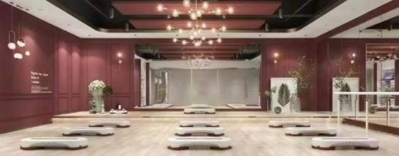 Ashtanga Yoga