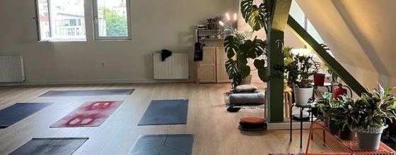 Vacă Pisică Yoga Studio
