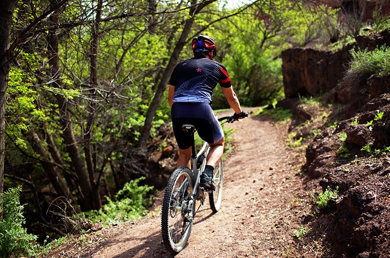 Carpathian MTB