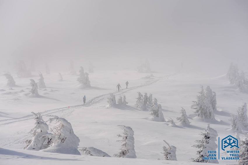 Vladeasa Winter Trail